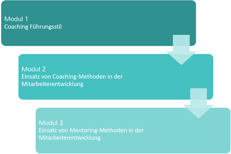 Vermadis Module Coaching